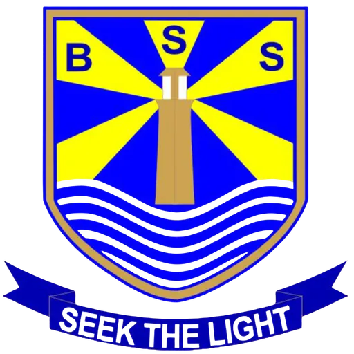 BSS logo