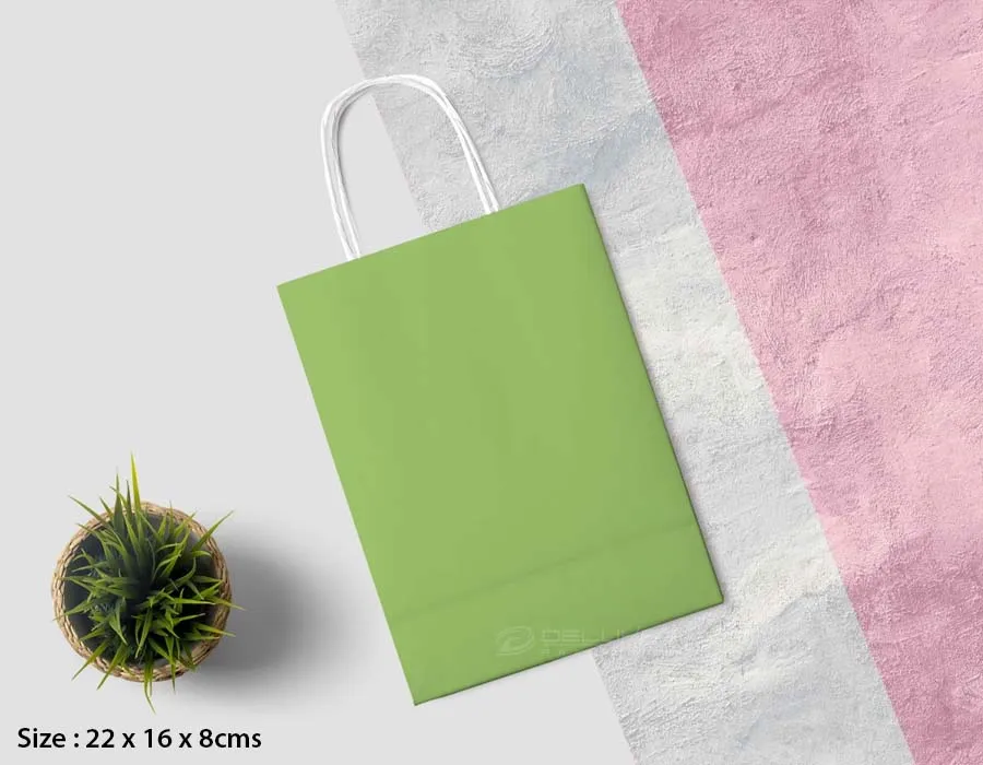 Kraft Bags Colors Printing Lahore