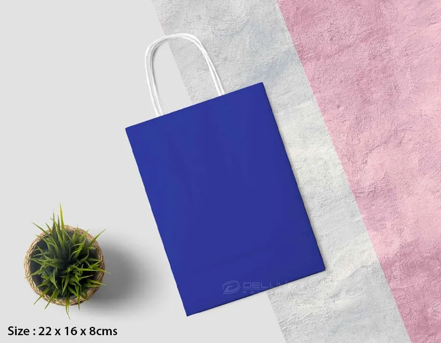 Kraft Bags Colors Printing Lahore