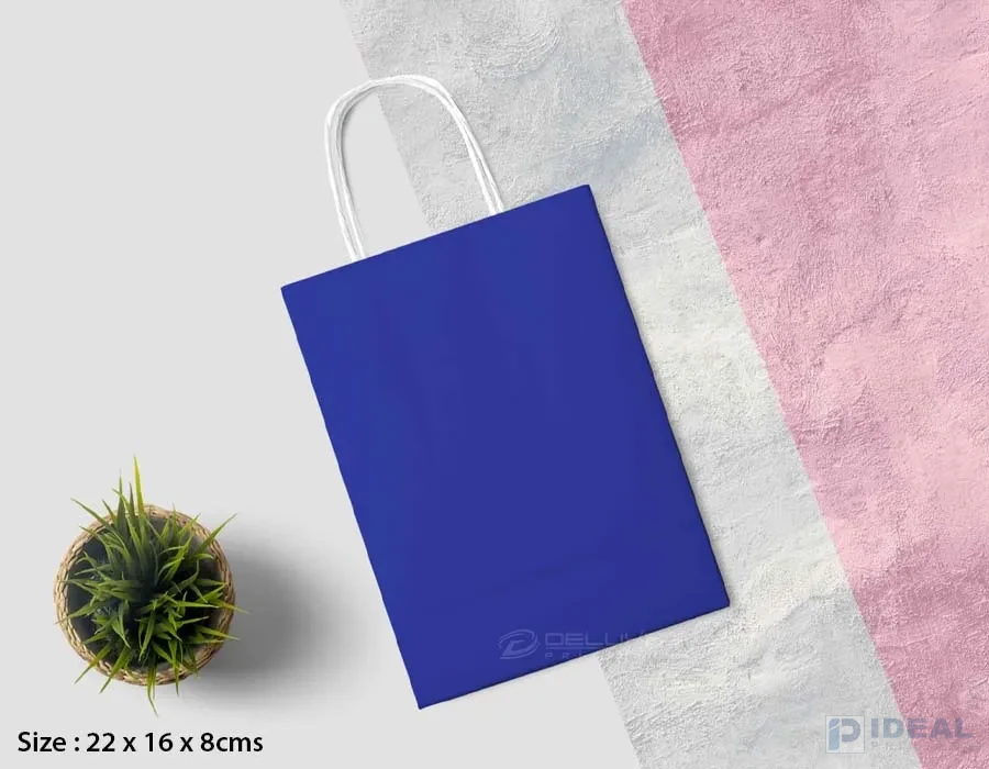 Kraft Bags Colors Printing Lahore