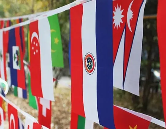 Bunting Flags Lahore