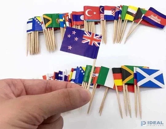 Toothpick Flags in Lahore