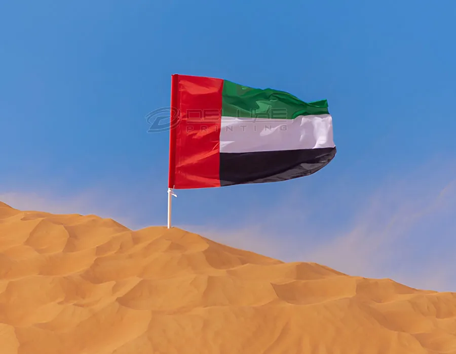 BUGGY FLAG (1 x 0.6mtr) Printing Lahore