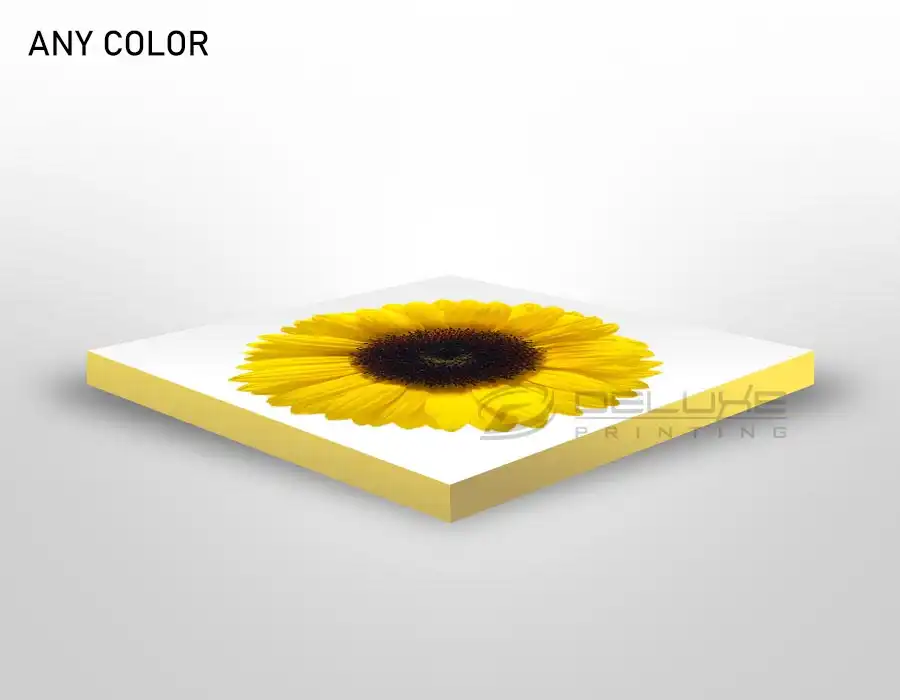 Canvas Frame Edge
