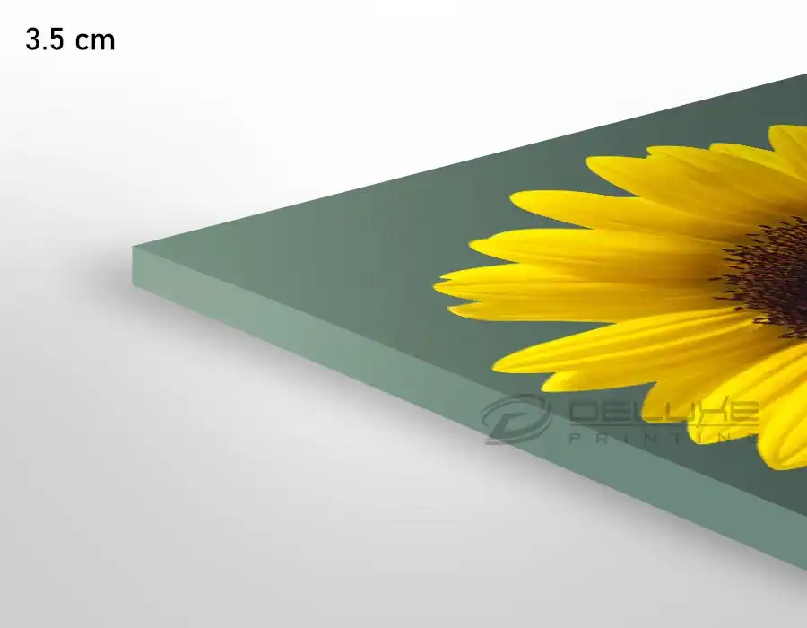 Canvas Depth Medium