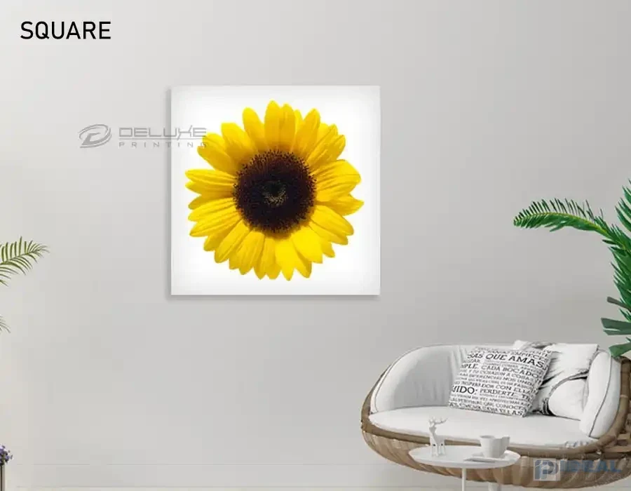 Square Canvas Frame